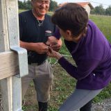 bfl-bauarbeiten-120915_18.jpg