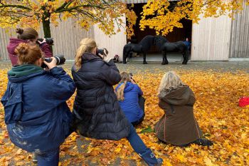 bfdl-portfoliotag-making-of-04.jpg