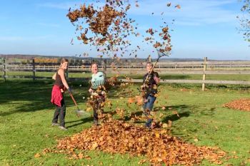 bfdl-Herbst2020-09.jpg