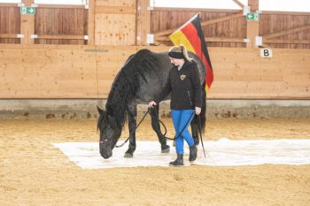 bfdl-Gelassenheitstraining-16.jpg