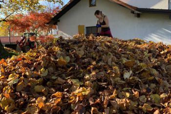 bfdl-Herbst2020-15.jpg