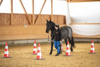 bfdl-Gelassenheitstraining-15.JPG