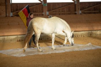 bfdl-Gelassenheitstraining-23.JPG