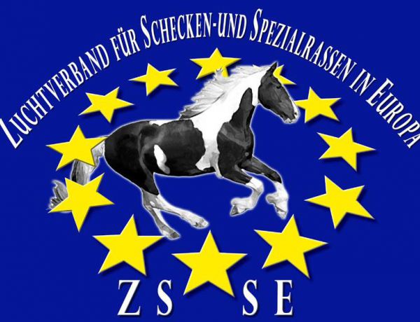 ZSSE e.V.