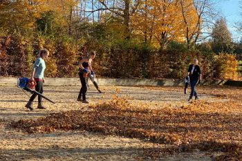 bfdl-Herbst2020-08.jpg