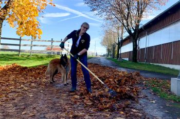 bfdl-Herbst2020-12.jpg