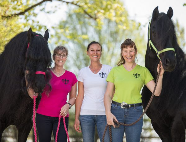 Dream Team - Barockpferdehof Fleur de Lis