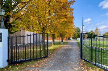bfdl-Herbst2020-01.jpg