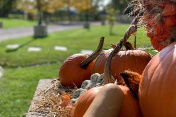 bfdl-Herbst2020-03.jpg