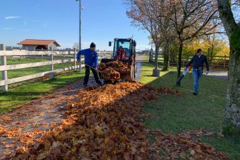 bfdl-Herbst2020-11.jpg