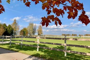 bfdl-Herbst2020-02.jpg